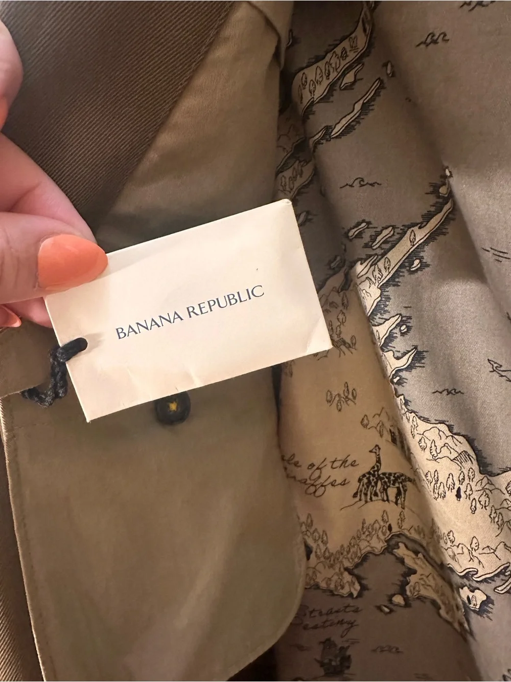 Banana Republic Men's Olive Green Military Field Jacket